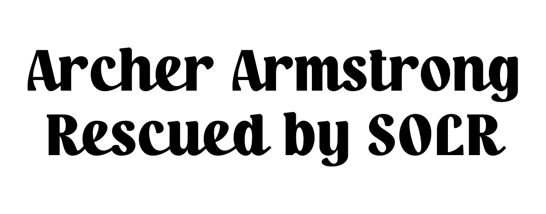 Sponsor_Archer-Armstrong